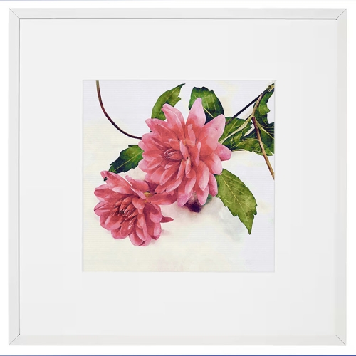 images/productimages/small/01-dahlia1.jpg